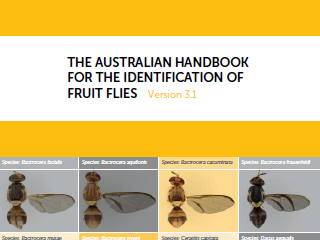 The Australian Handbook
for the Identification of Fruit Flies - Version 3.1