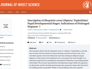 Description of Rhagoletis cerasi
(Diptera: Tehpritidae) Pupal Developmental Stages: Indications of Prolonged Diapause